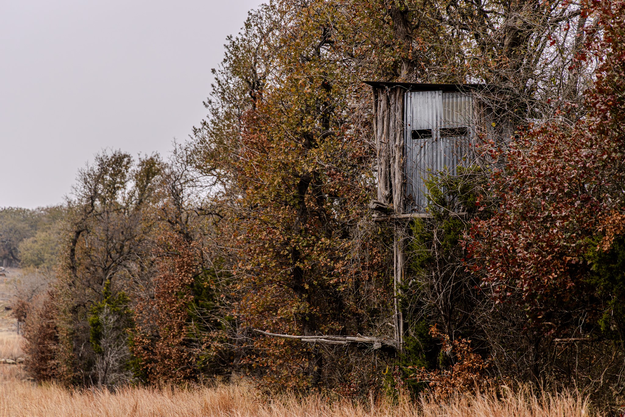 2946 FM 52, Graford, TX, 76449