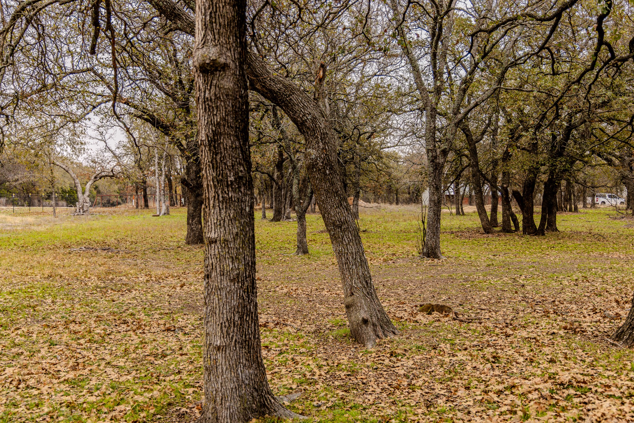2946 FM 52, Graford, TX, 76449