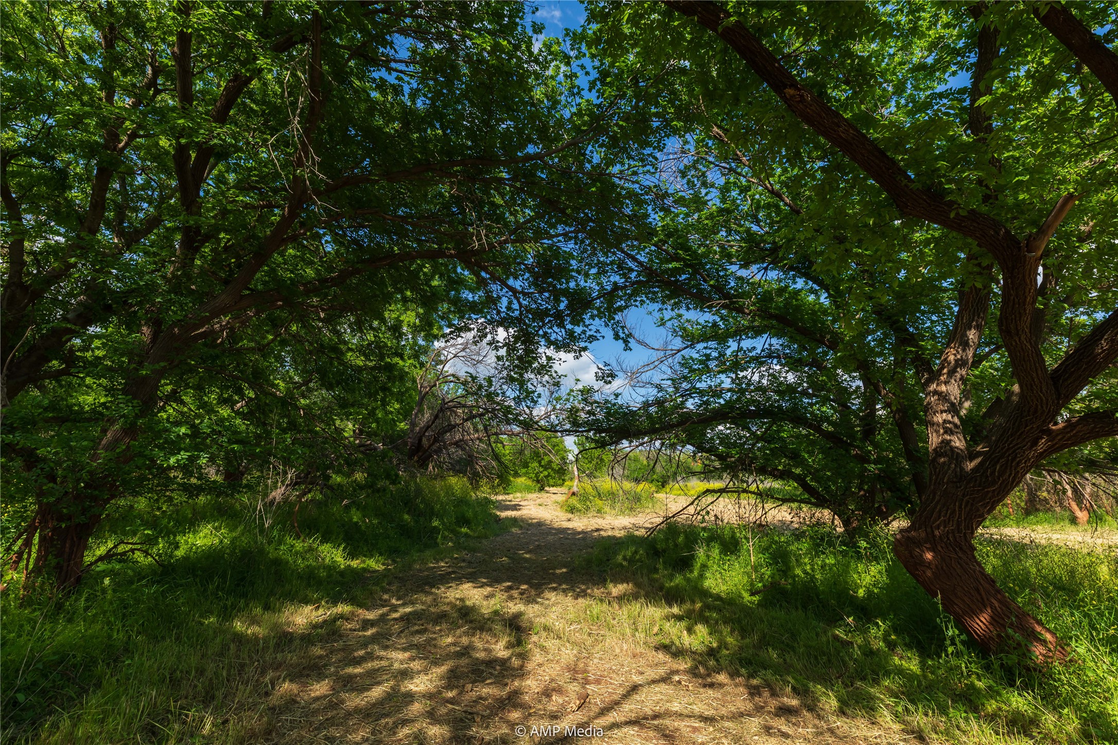 LOT 3 TBD CR 327, Abilene, TX, 79601