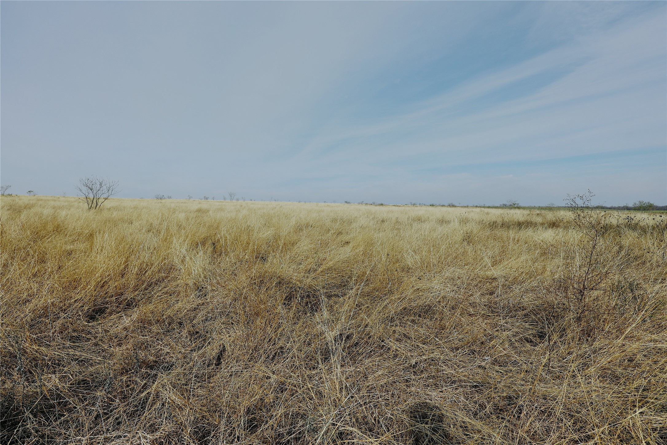 21481 SW County Road 4040, Dawson, TX, 76639