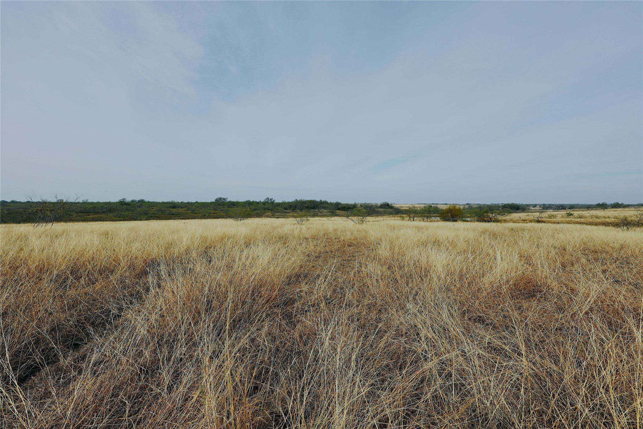 21481 SW County Road 4040, Dawson, TX, 76639
