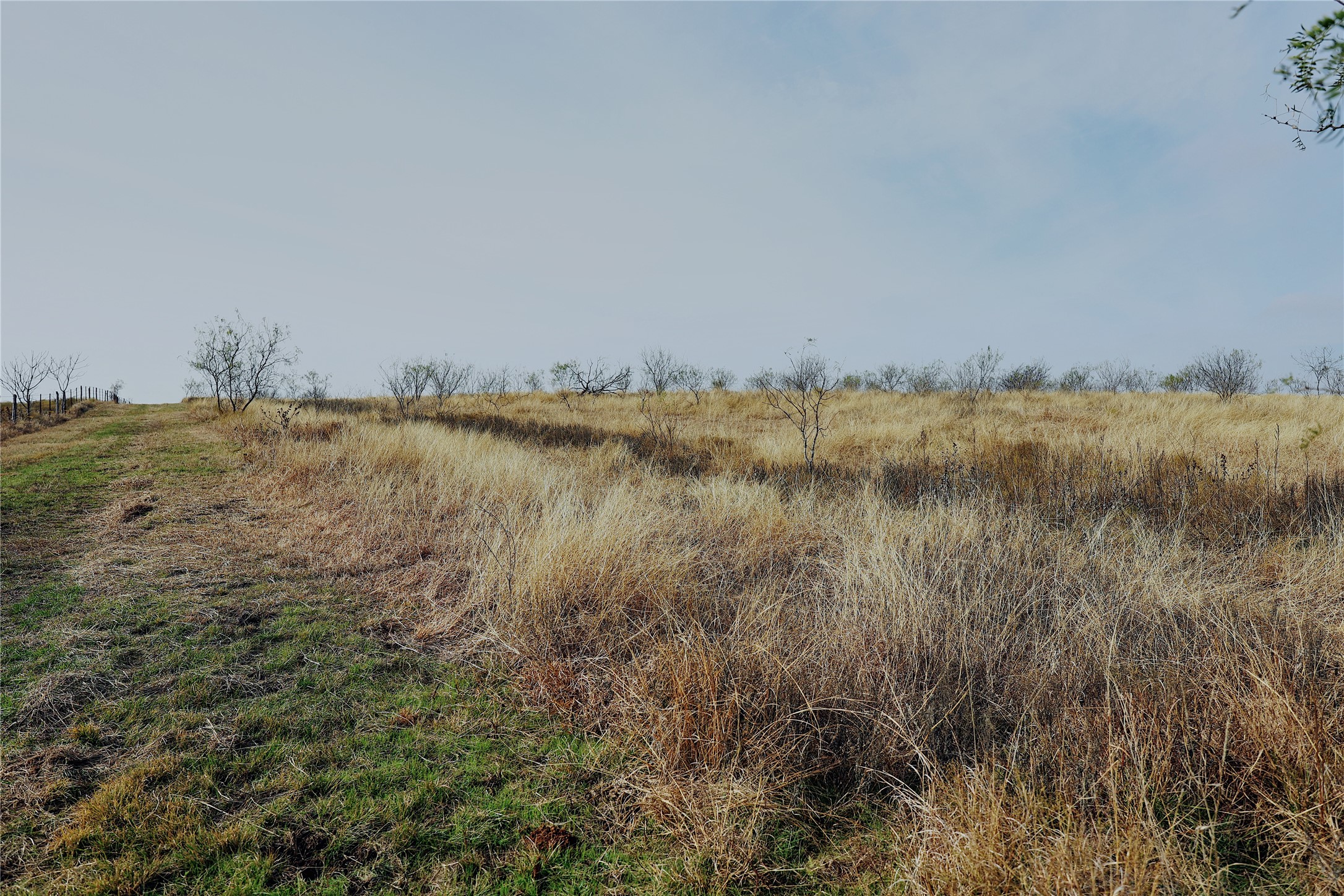 21481 SW County Road 4040, Dawson, TX, 76639