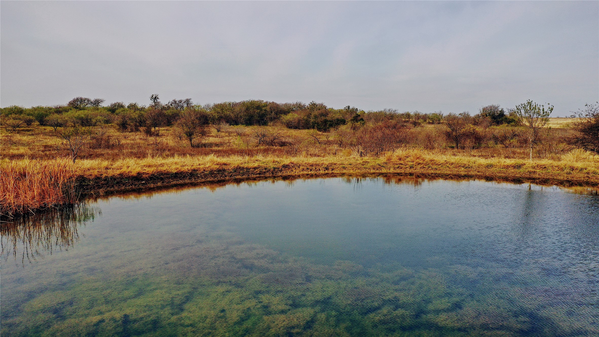 21481 SW County Road 4040, Dawson, TX, 76639