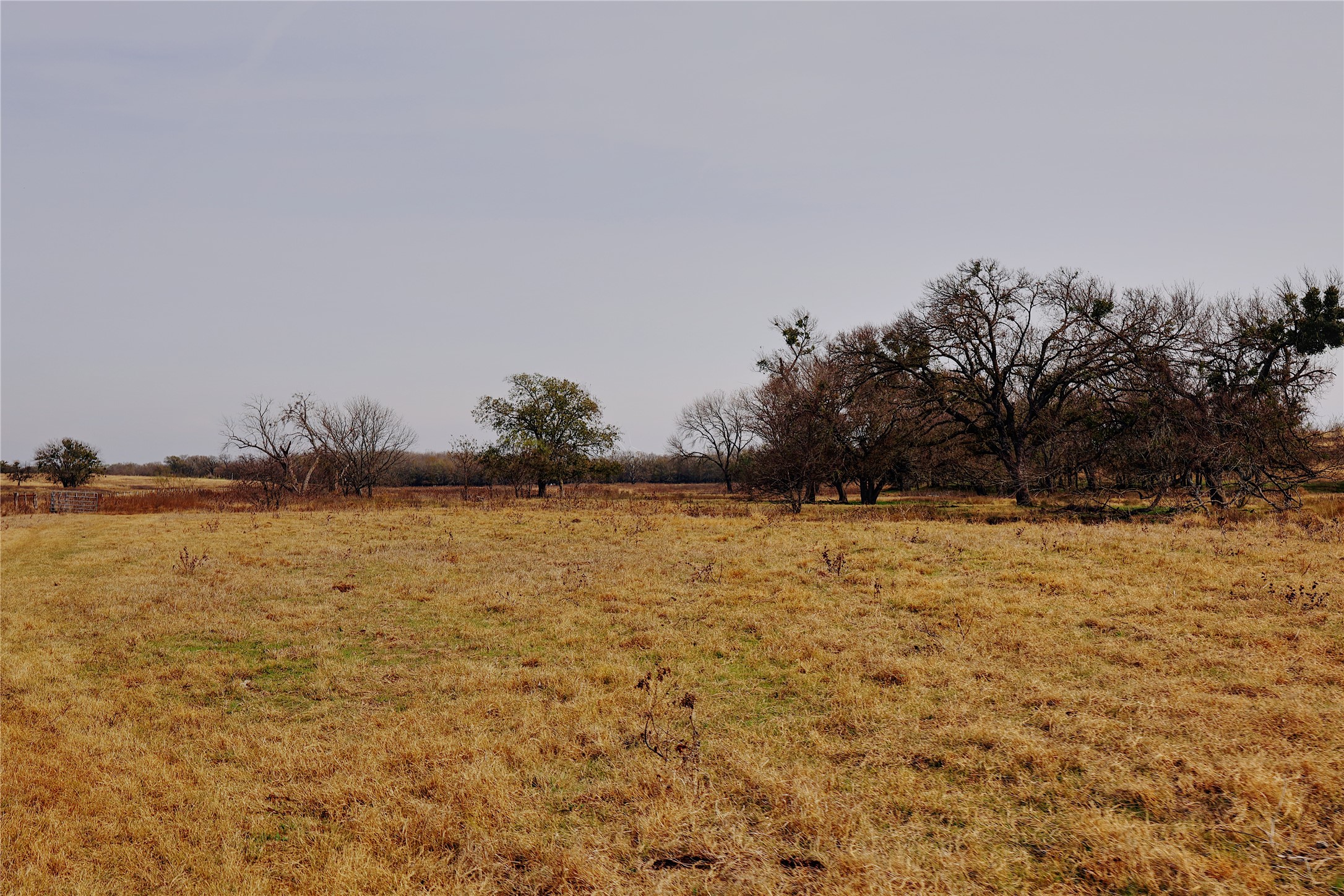 21481 SW County Road 4040, Dawson, TX, 76639