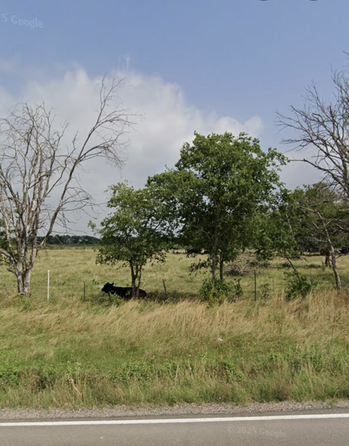 Property photo 02 of 1105 Bell Street, Coolidge, TX 76635 | MLS #21128600