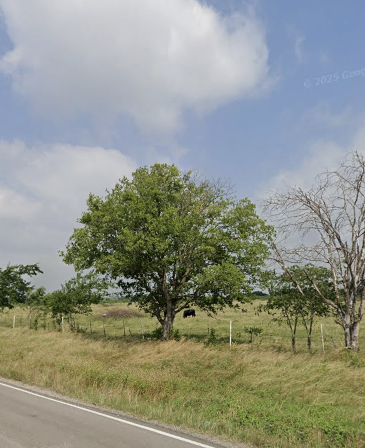 1105 Bell Street, Coolidge, TX, 76635