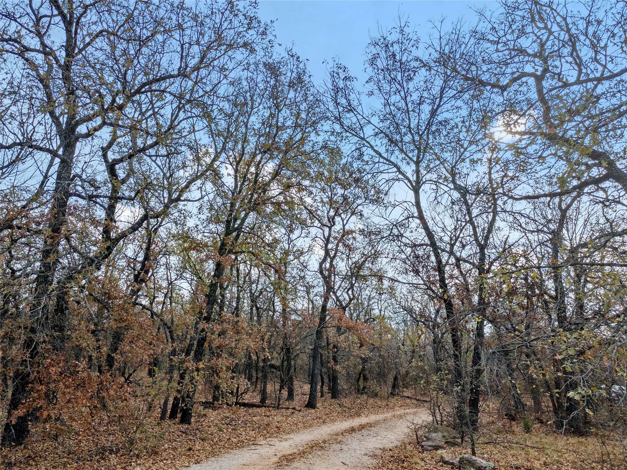 289 County Road 1661, Chico, TX, 76431