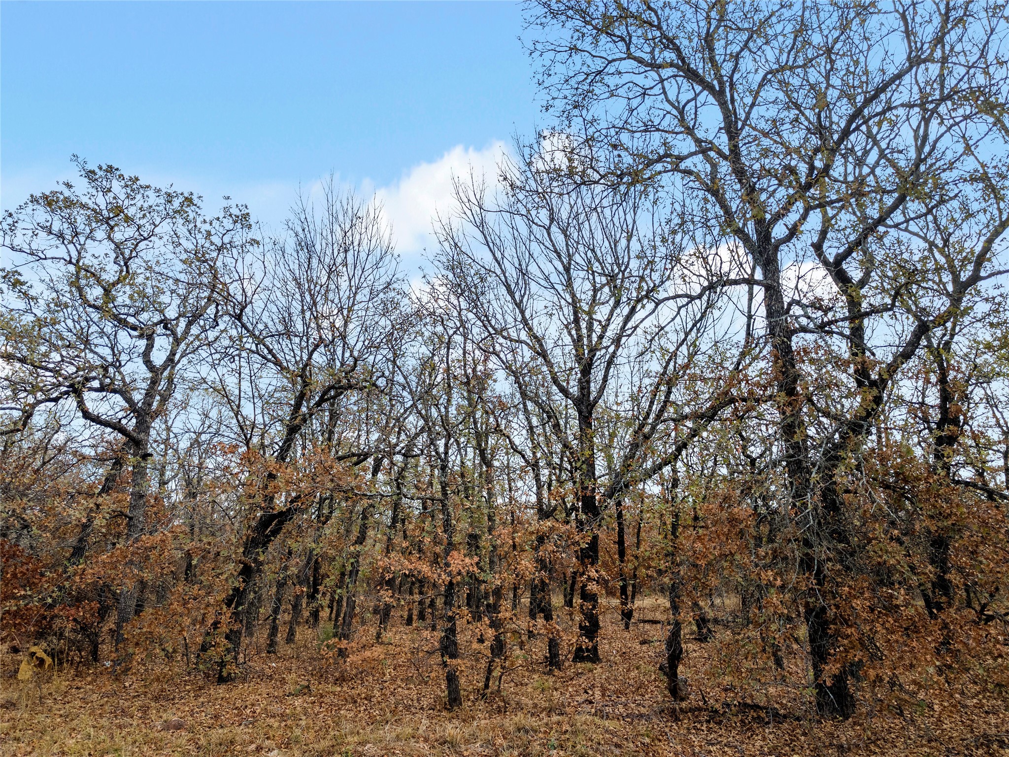 289 County Road 1661, Chico, TX, 76431