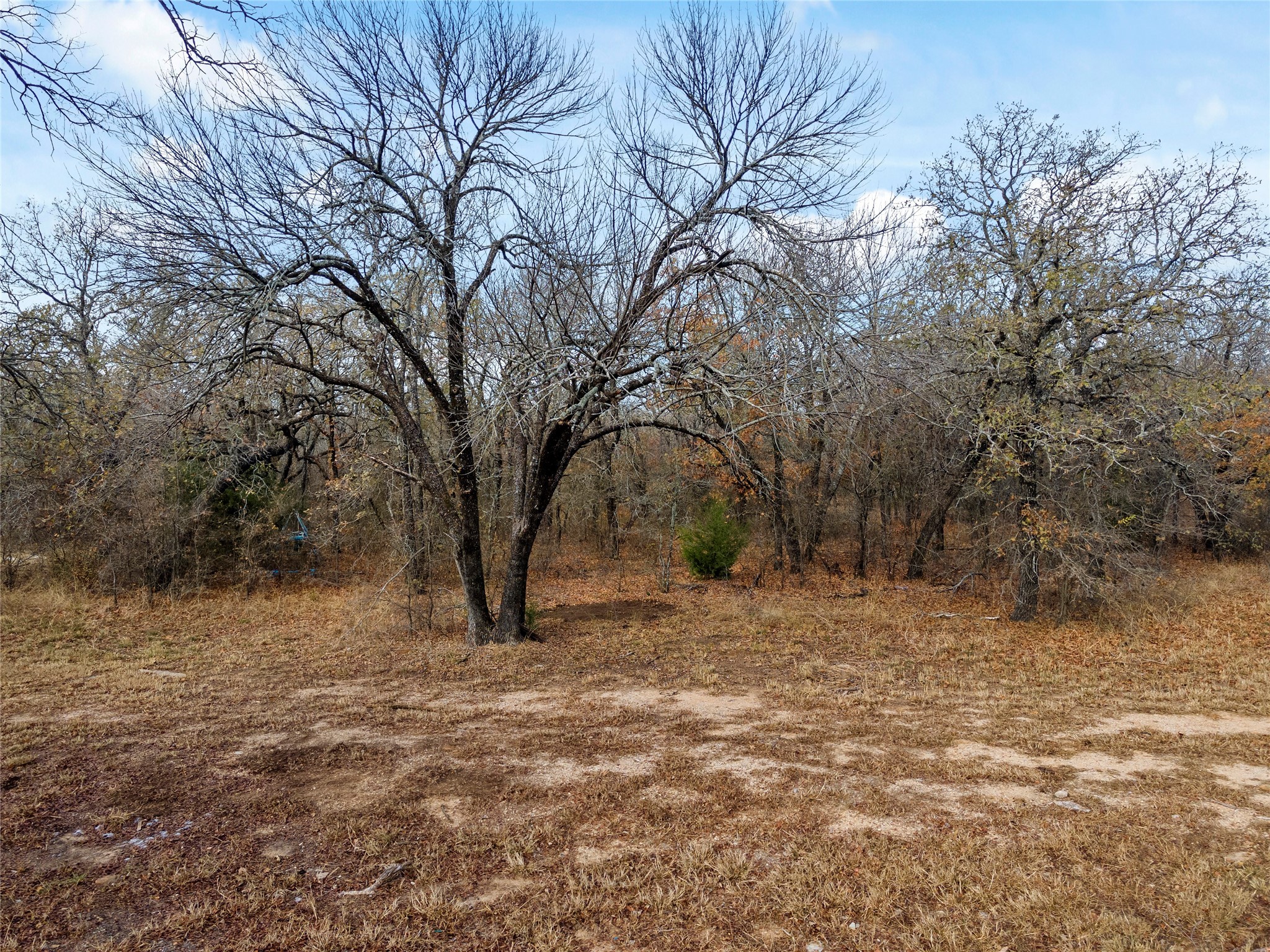 289 County Road 1661, Chico, TX, 76431