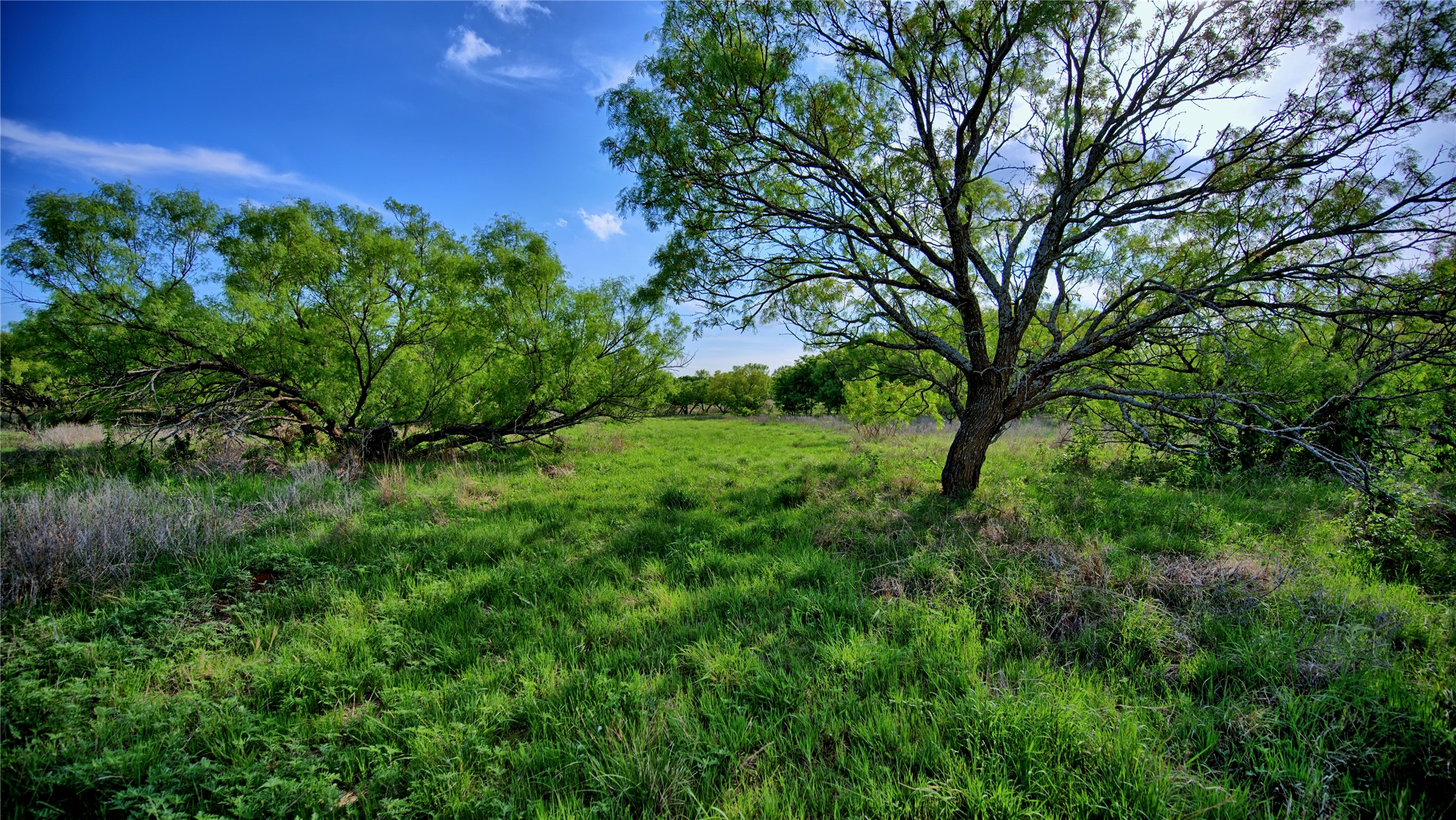 802 Fm 2634, Nocona, TX, 76255
