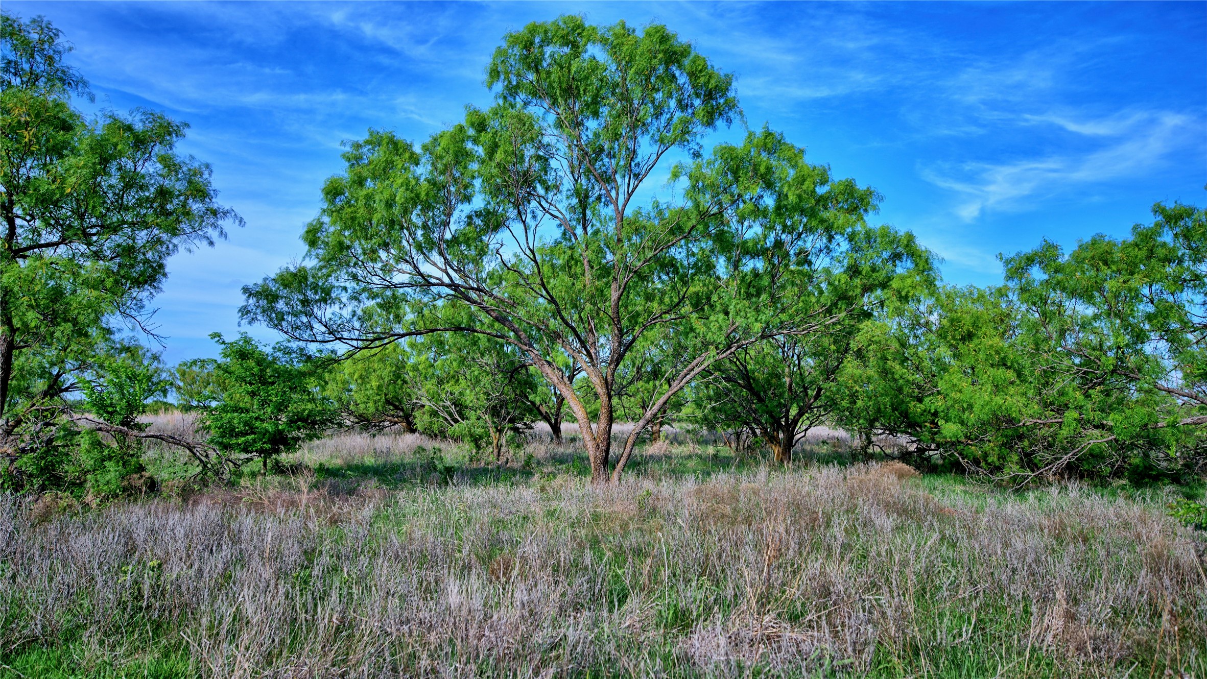 802 Fm 2634, Nocona, TX, 76255