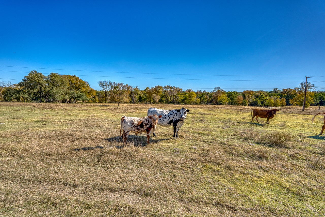 20949 Firefly Road, Salado, TX, 76571