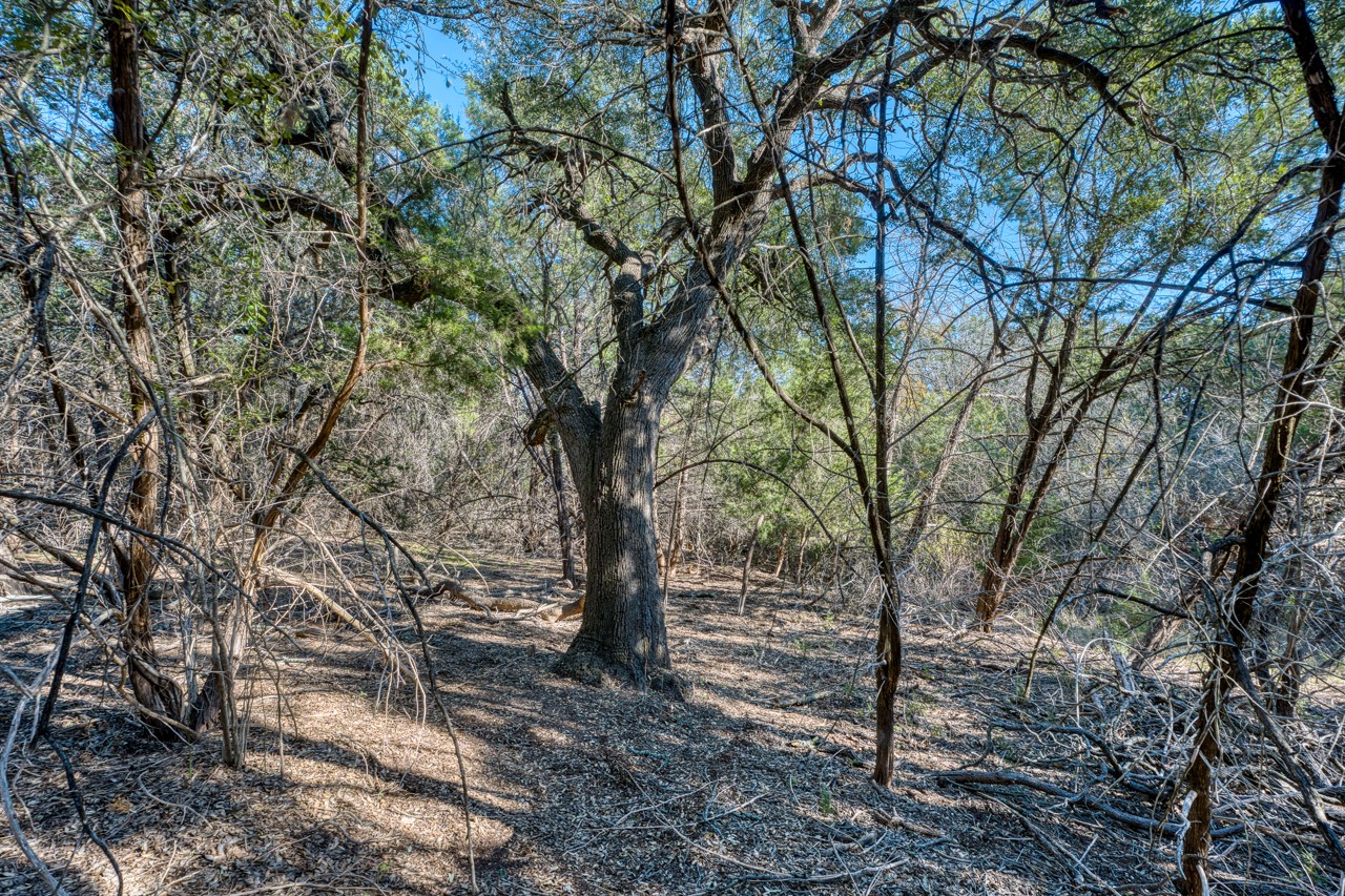 20949 Firefly Road, Salado, TX, 76571