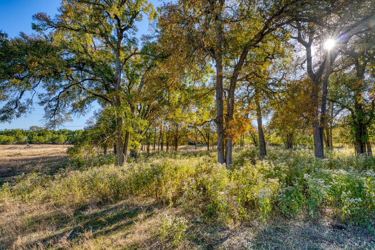 20949 Firefly Road, Salado, TX, 76571