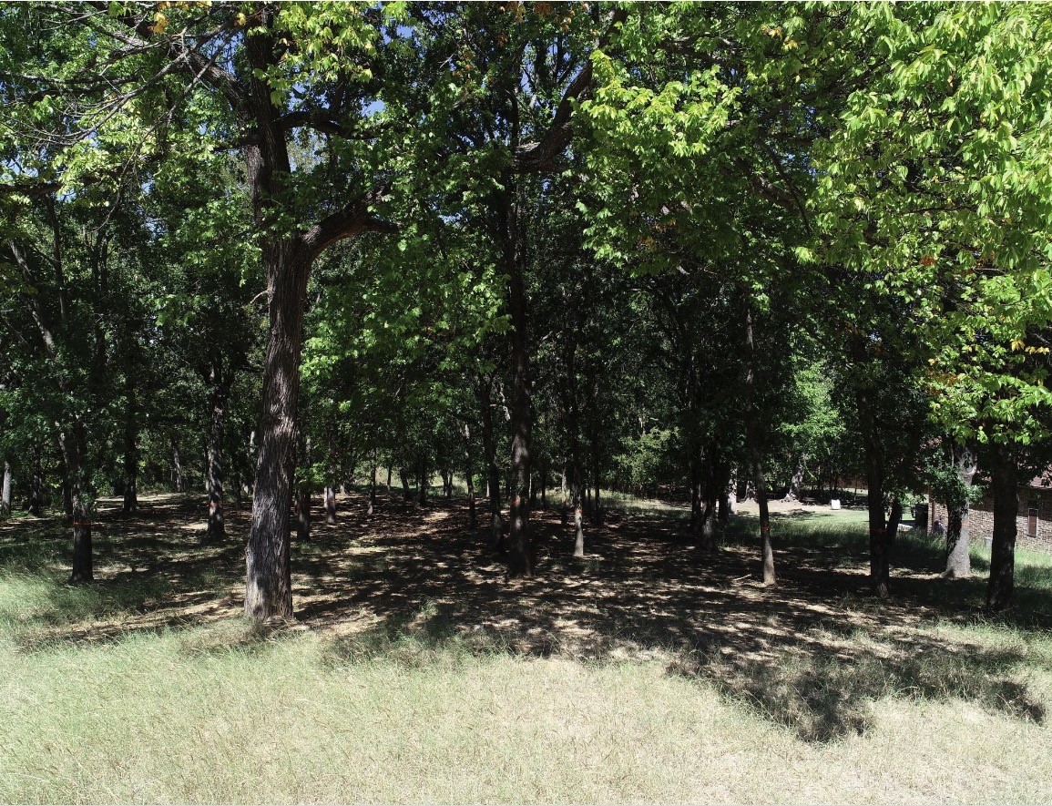 2101 Clear Creek Drive, Weatherford, TX, 76087