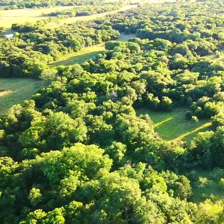 TBD SW  CR 2250, Dawson, TX, 76639
