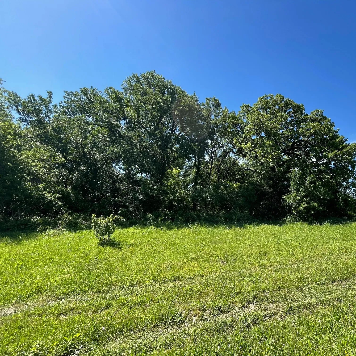 TBD SW  CR 2250, Dawson, TX, 76639