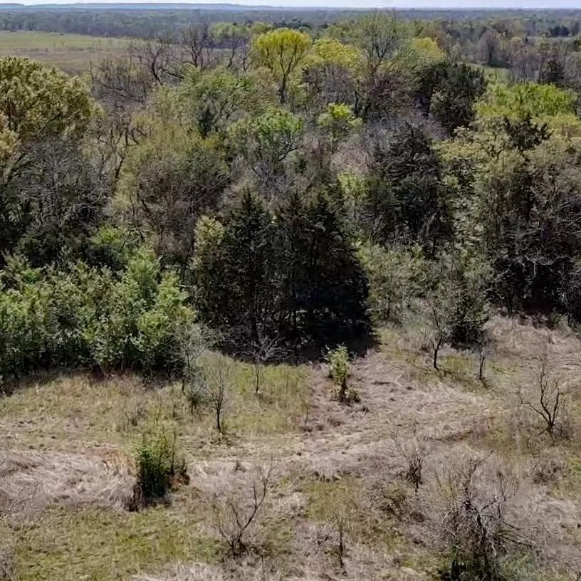TBD SW  CR 2250, Dawson, TX, 76639