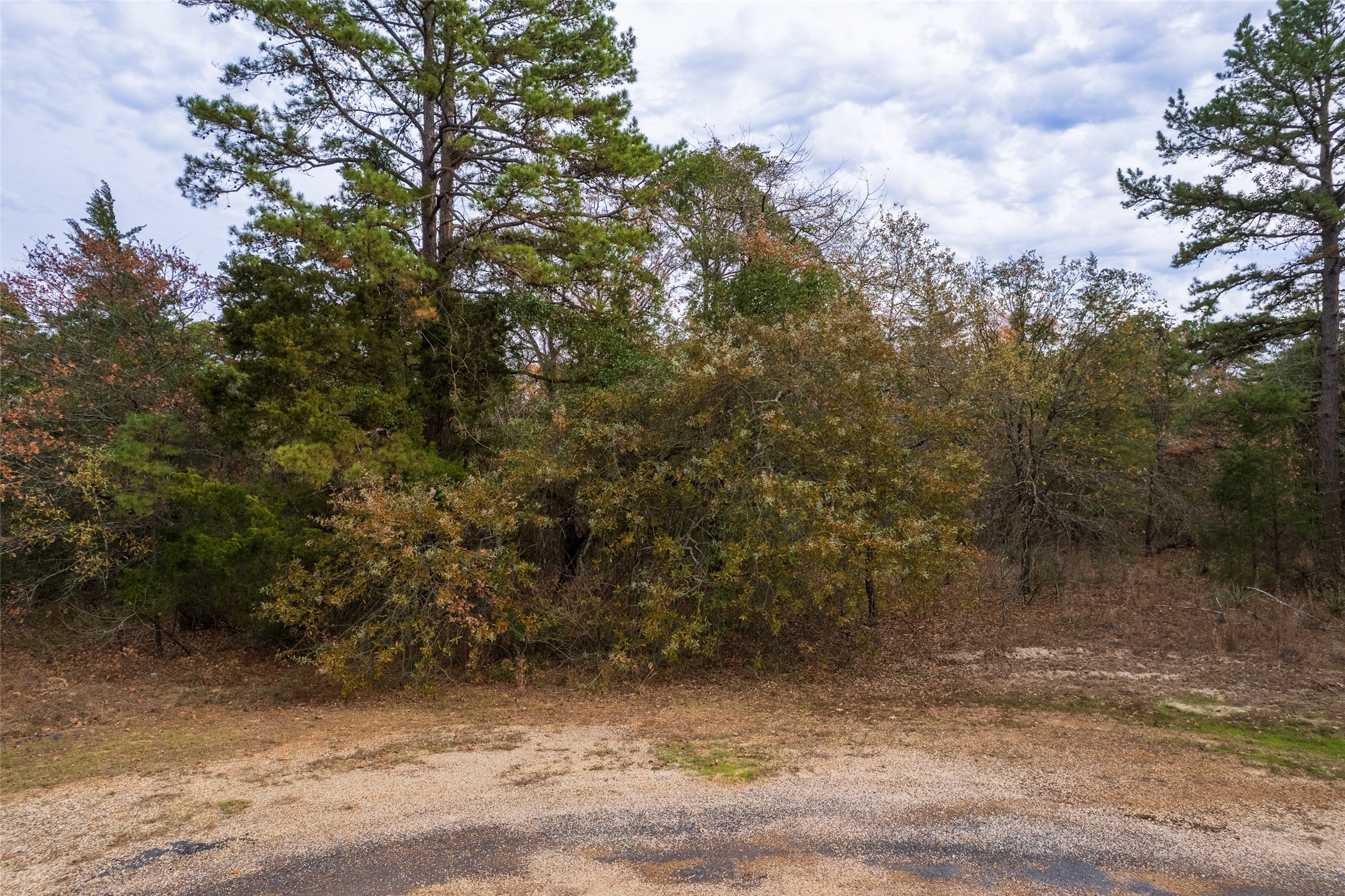 Lot 450 Charlya Drive, Scroggins, TX, 75480