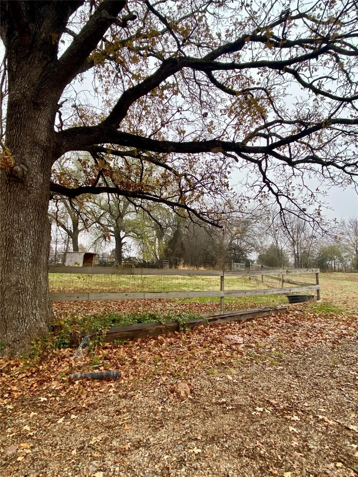 253 CR 14750, Paris, TX, 75462