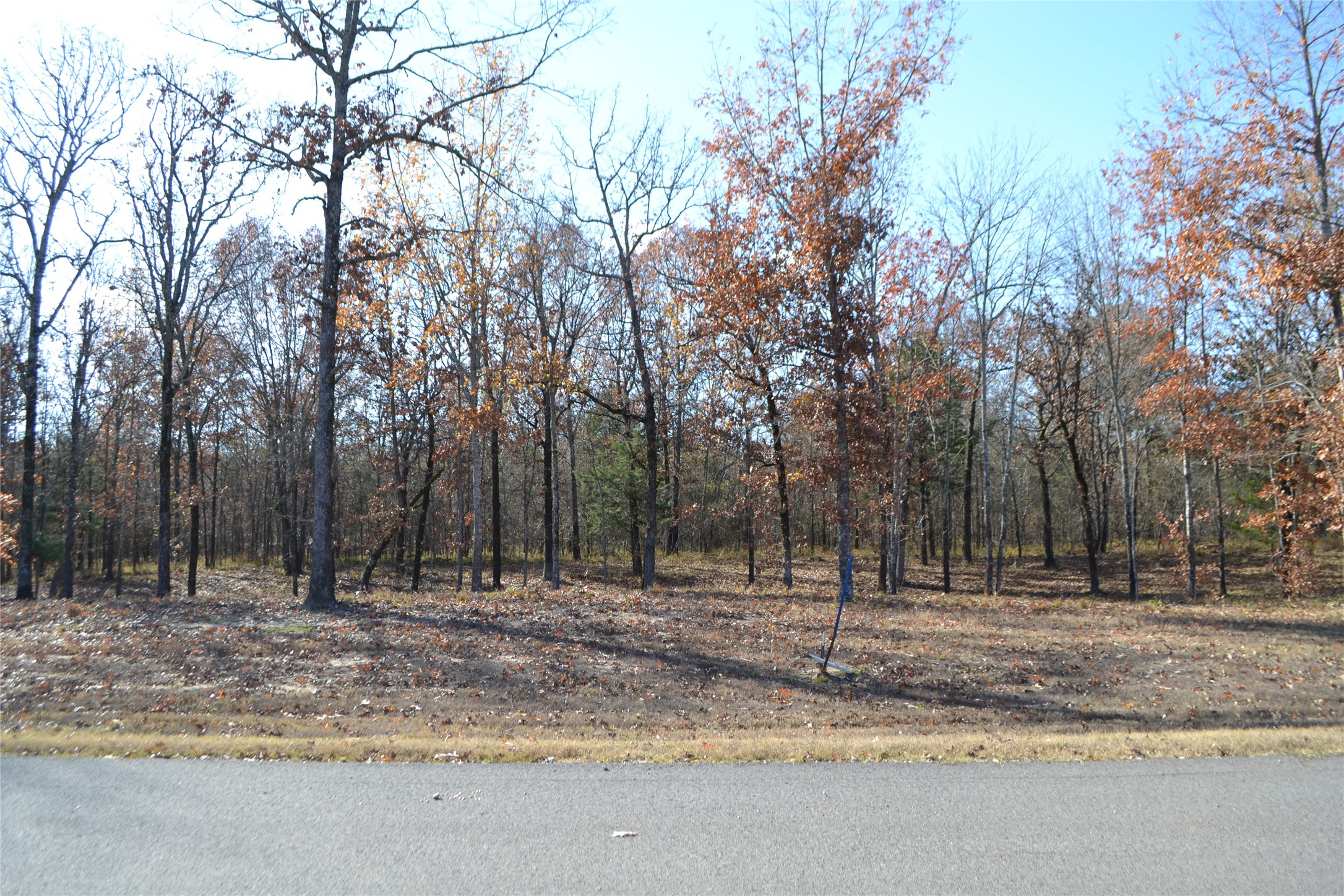 Lot 34 Angler Shores Drive, Yantis, TX, 75497