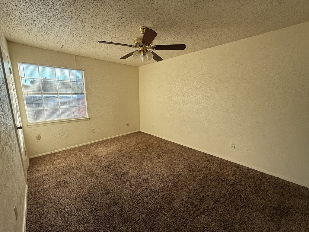 1021 Pleasant Valley Lane, Arlington, TX, 76015