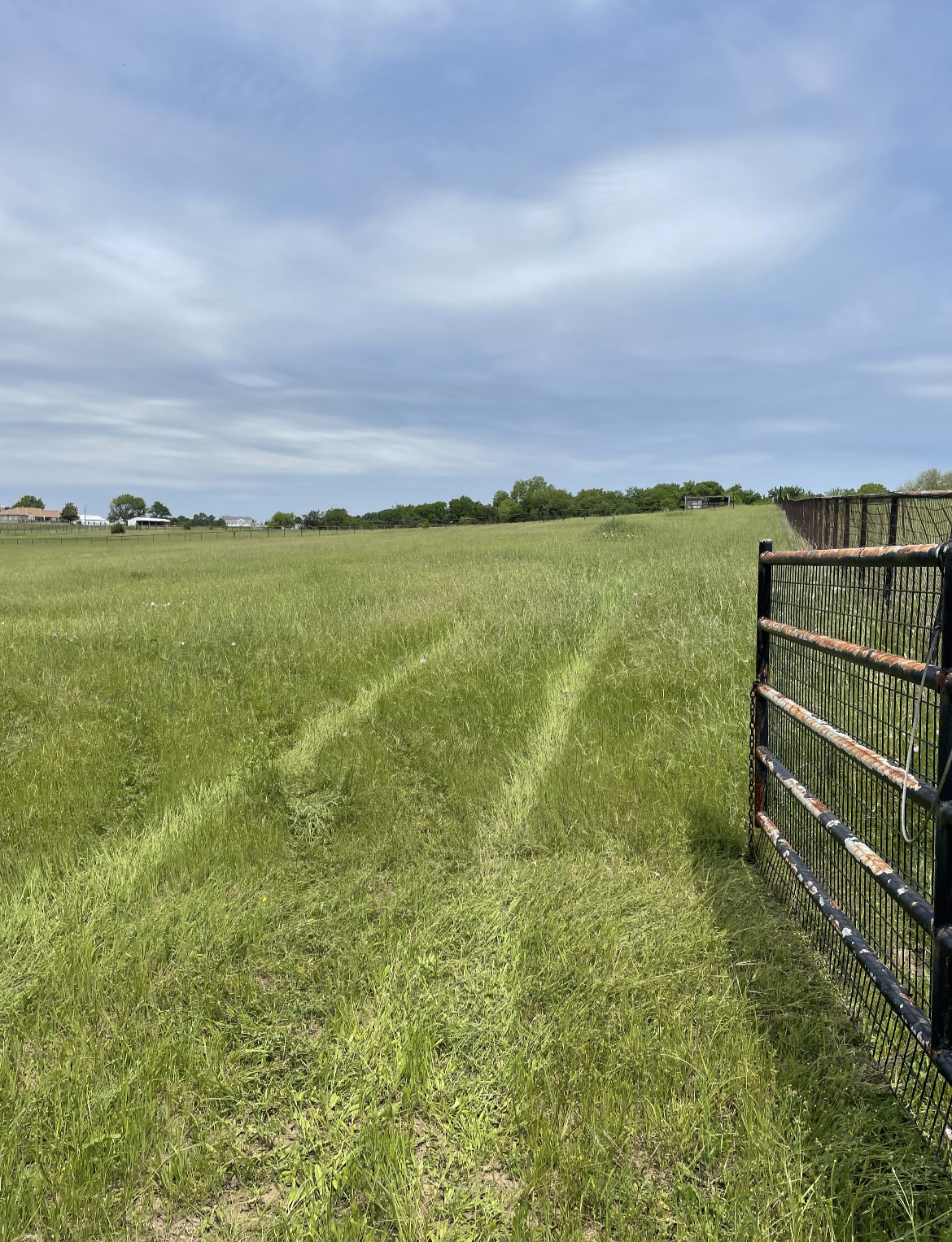Property photo 03 of 11321 Wild Rose Lane, Anna, TX 75409 | MLS #21136670