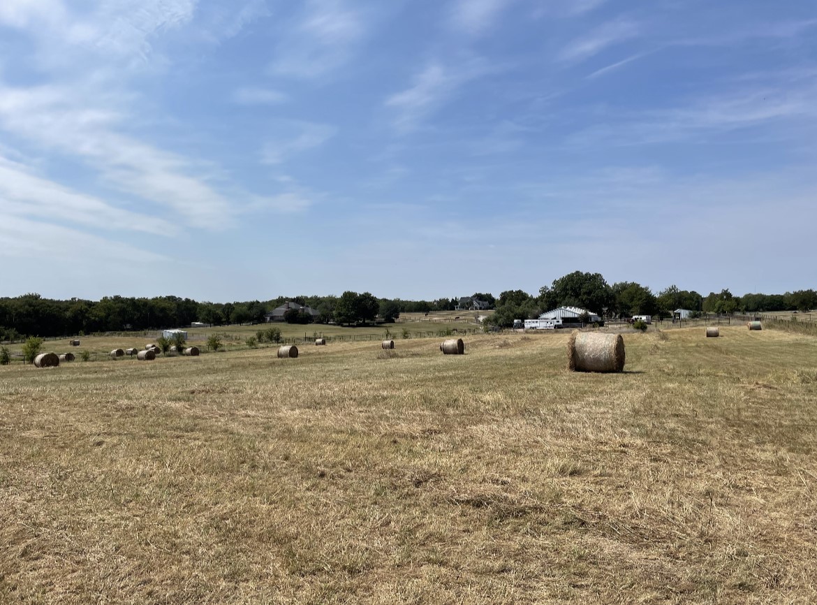 11321 Wild Rose Lane, Anna, TX, 75409