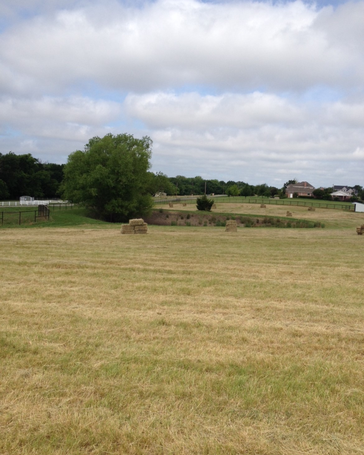 11321 Wild Rose Lane, Anna, TX, 75409