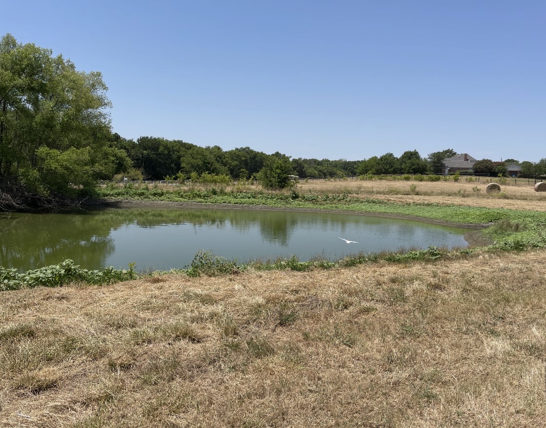 11321 Wild Rose Lane, Anna, TX, 75409
