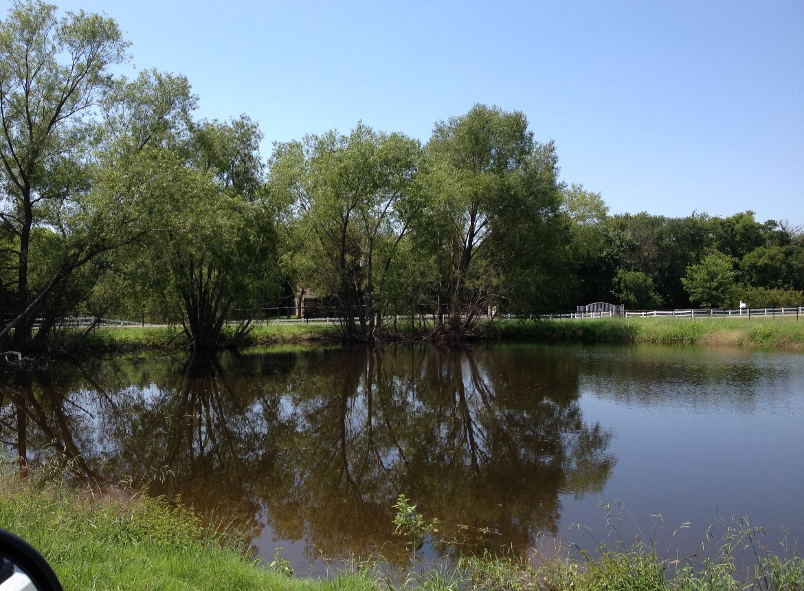 11321 Wild Rose Lane, Anna, TX, 75409