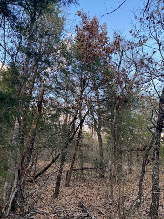 TBD N CR 1200, Athens, TX, 75751