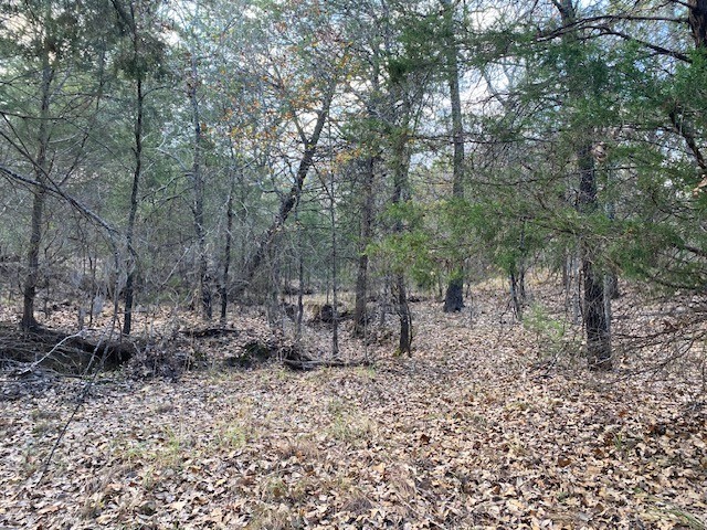 TBD N CR 1200, Athens, TX, 75751
