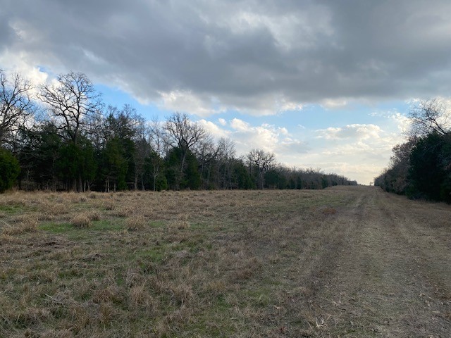 TBD N CR 1200, Athens, TX, 75751