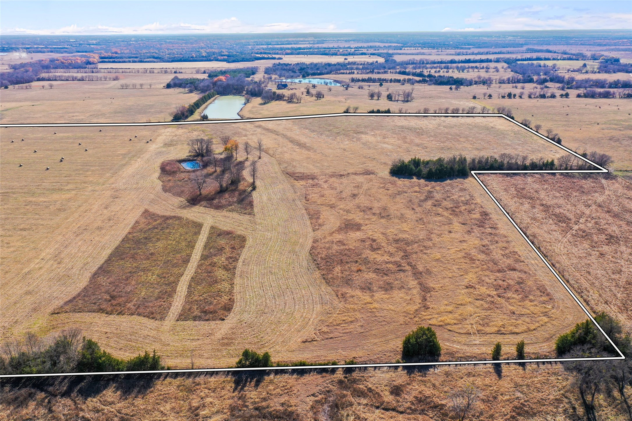 Property photo 04 of 0000 FM 13200, Blossom, TX 75416 | MLS #21138308
