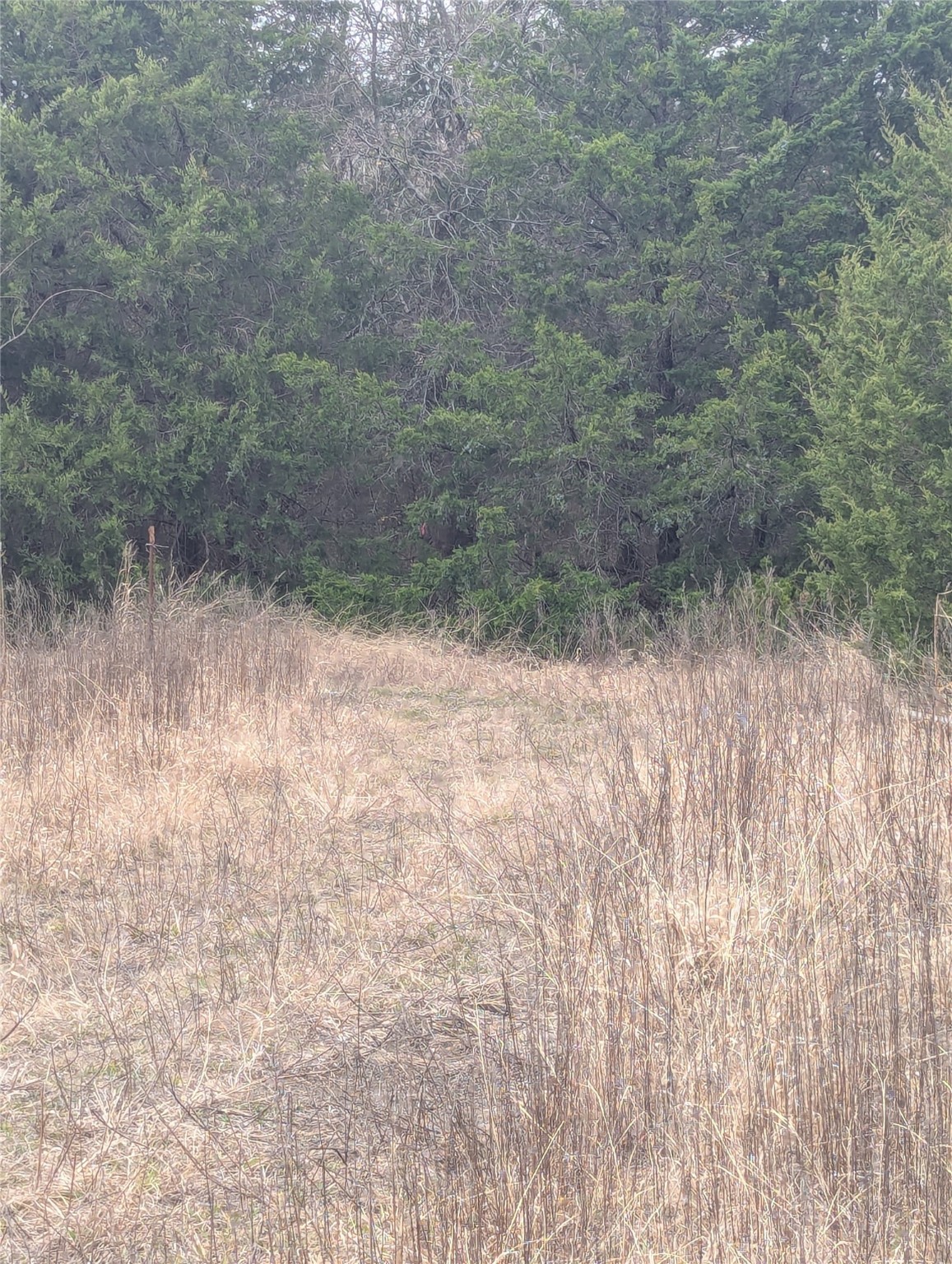 17454 County Road 663, Farmersville, TX, 75442