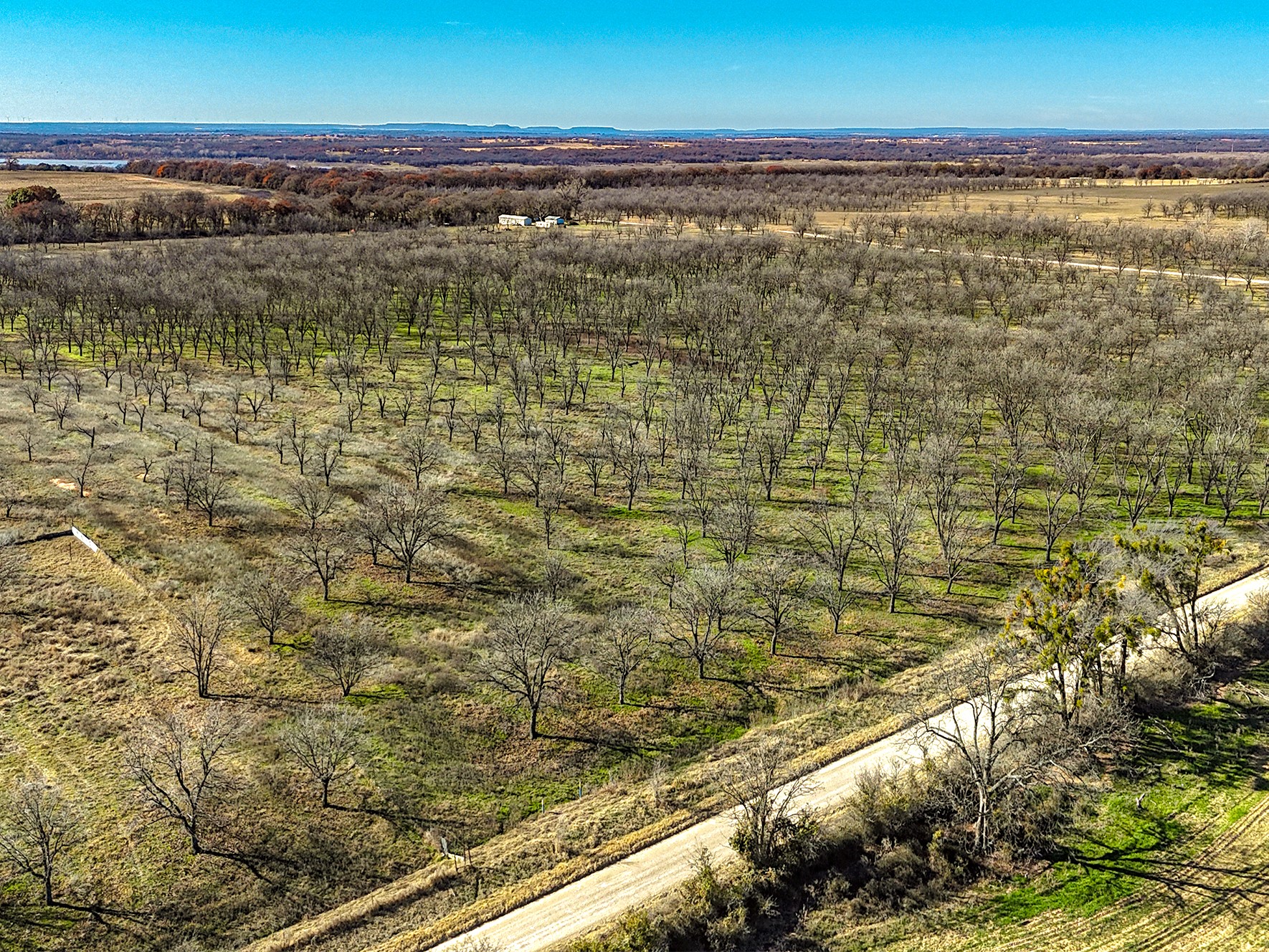 Lot 19 County Road 446, De Leon, TX, 76444
