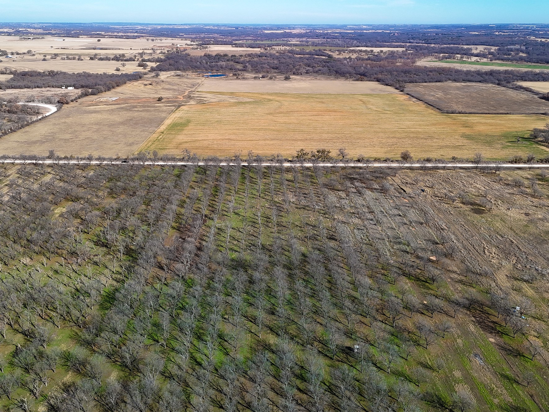 Lot 19 County Road 446, De Leon, TX, 76444