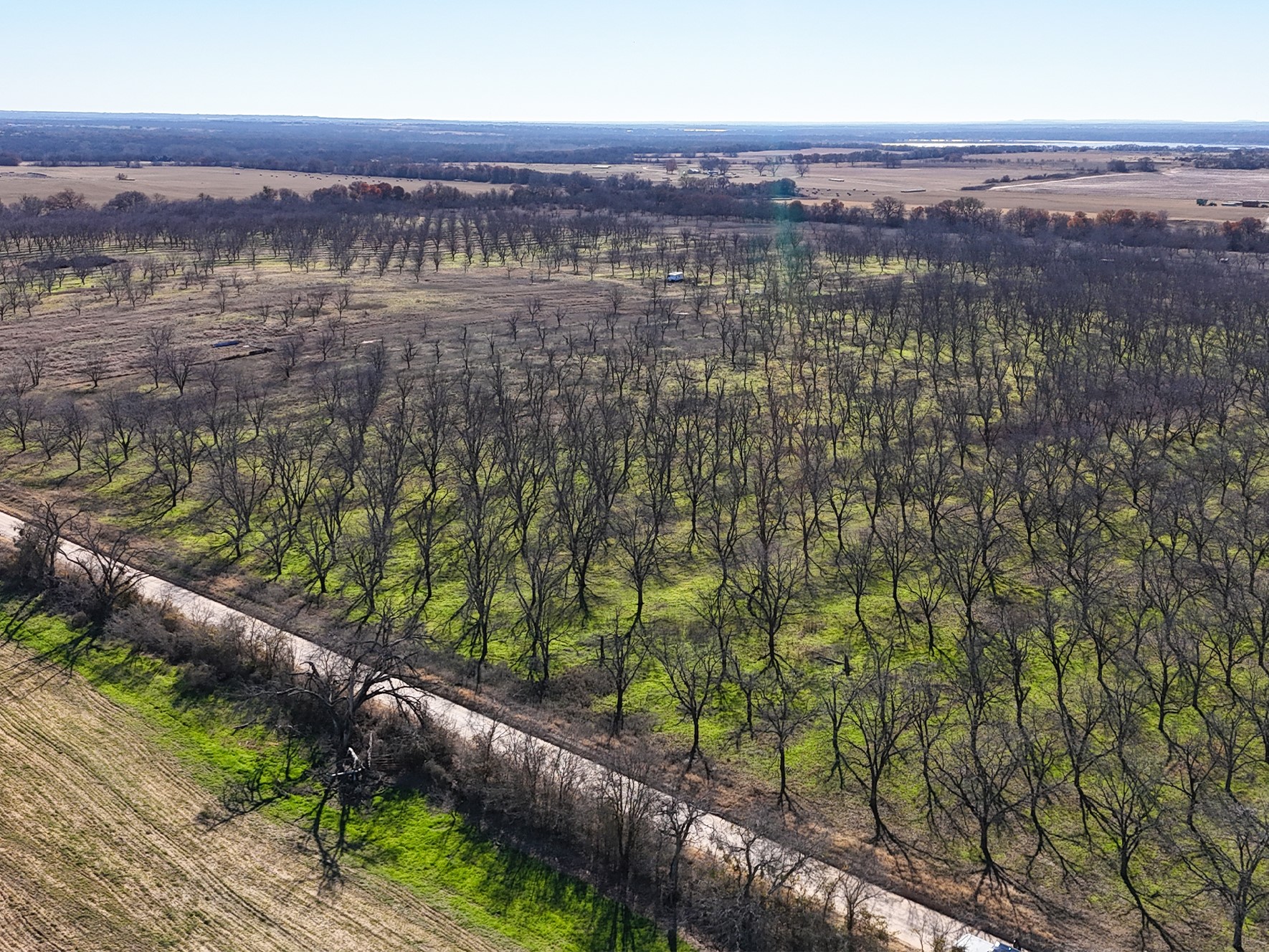Lot 19 County Road 446, De Leon, TX, 76444