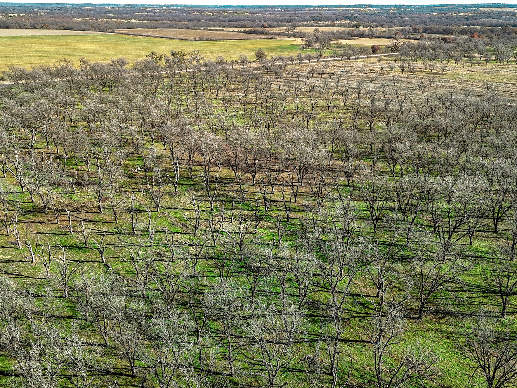 Lot 19 County Road 446, De Leon, TX, 76444
