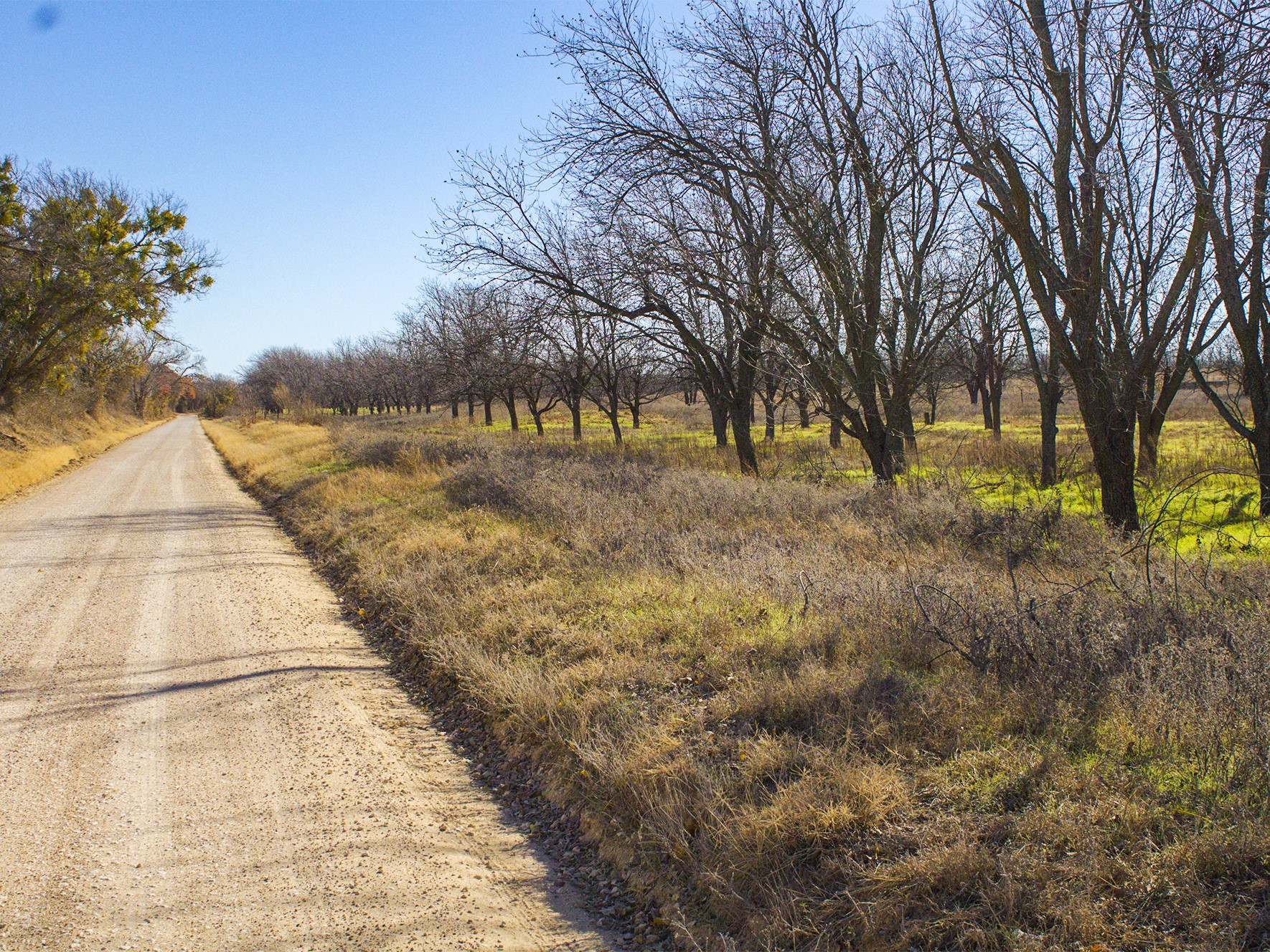 Lot 19 County Road 446, De Leon, TX, 76444