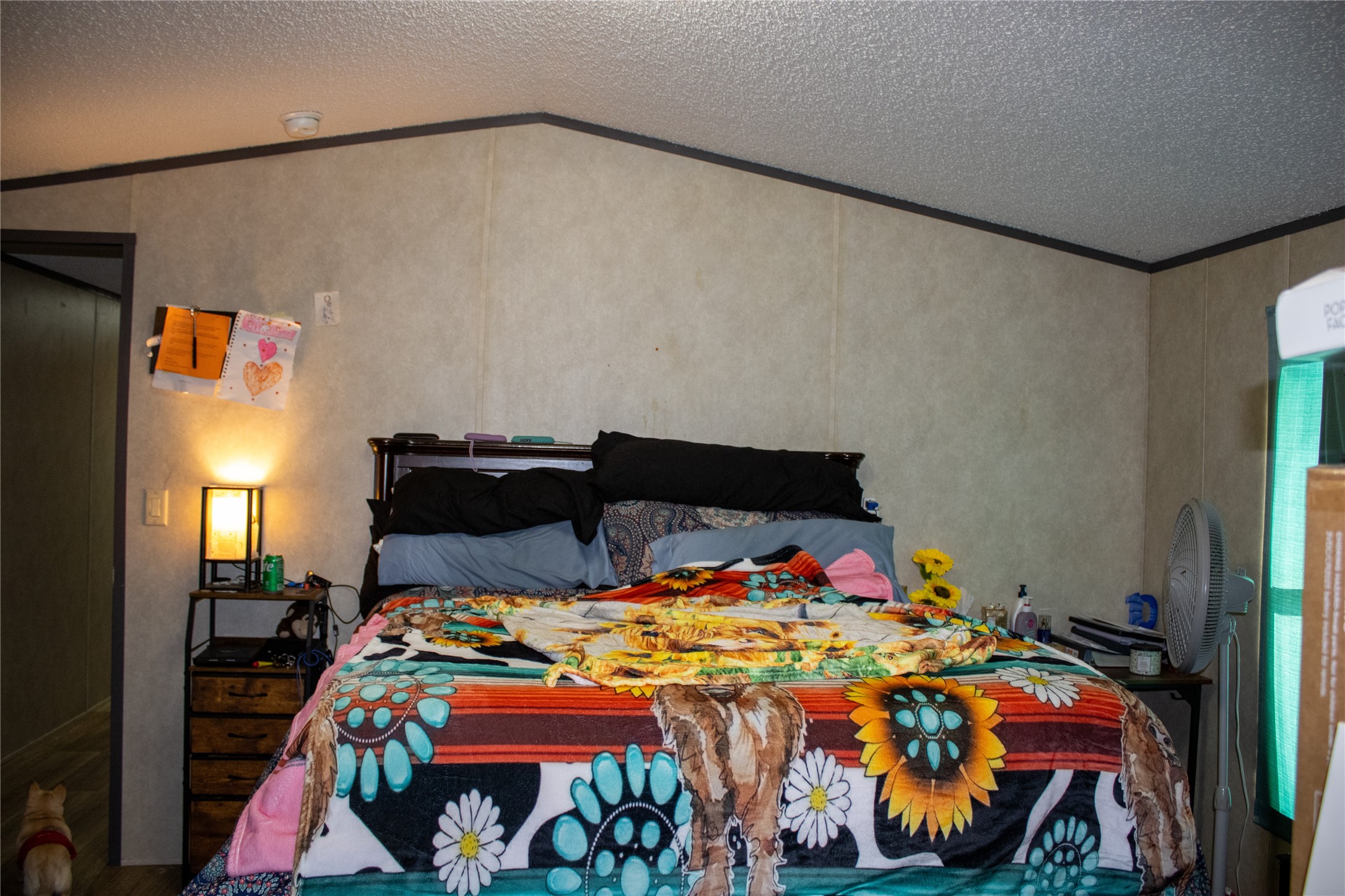 145 Firefly Drive, Springtown, TX, 76082