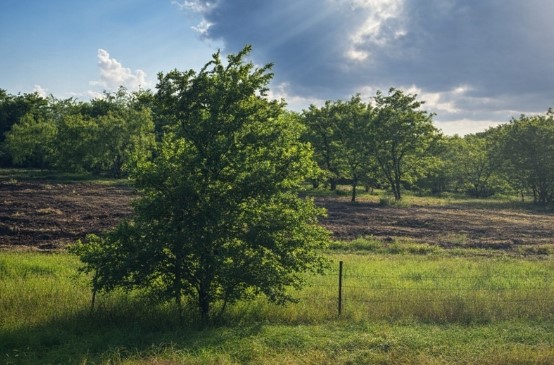 5627 FM 987, Kaufman, TX, 75142