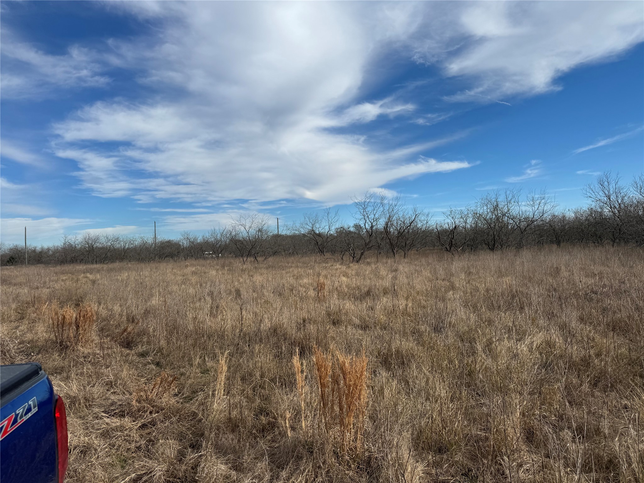 Property photo 04 of 2.29Acres Boren Private Road, Wortham, TX 76693 | MLS #21143007