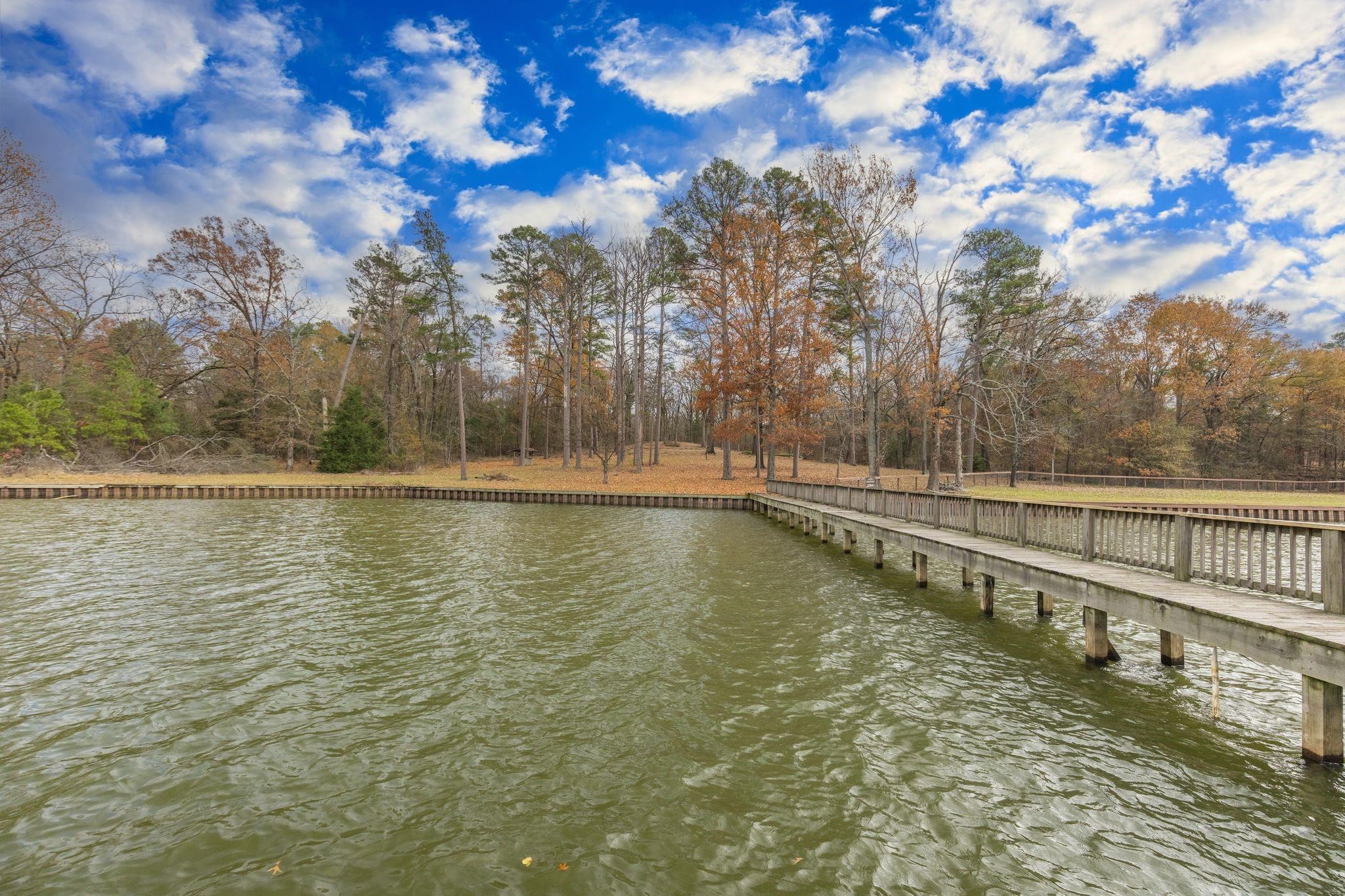 648 County Road 2337, Pittsburg, TX, 75686