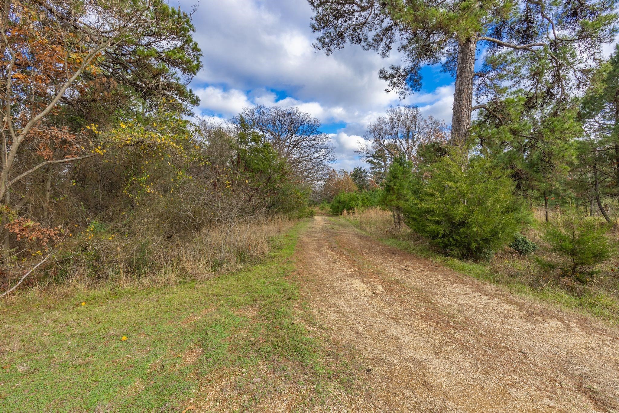 648 County Road 2337, Pittsburg, TX, 75686