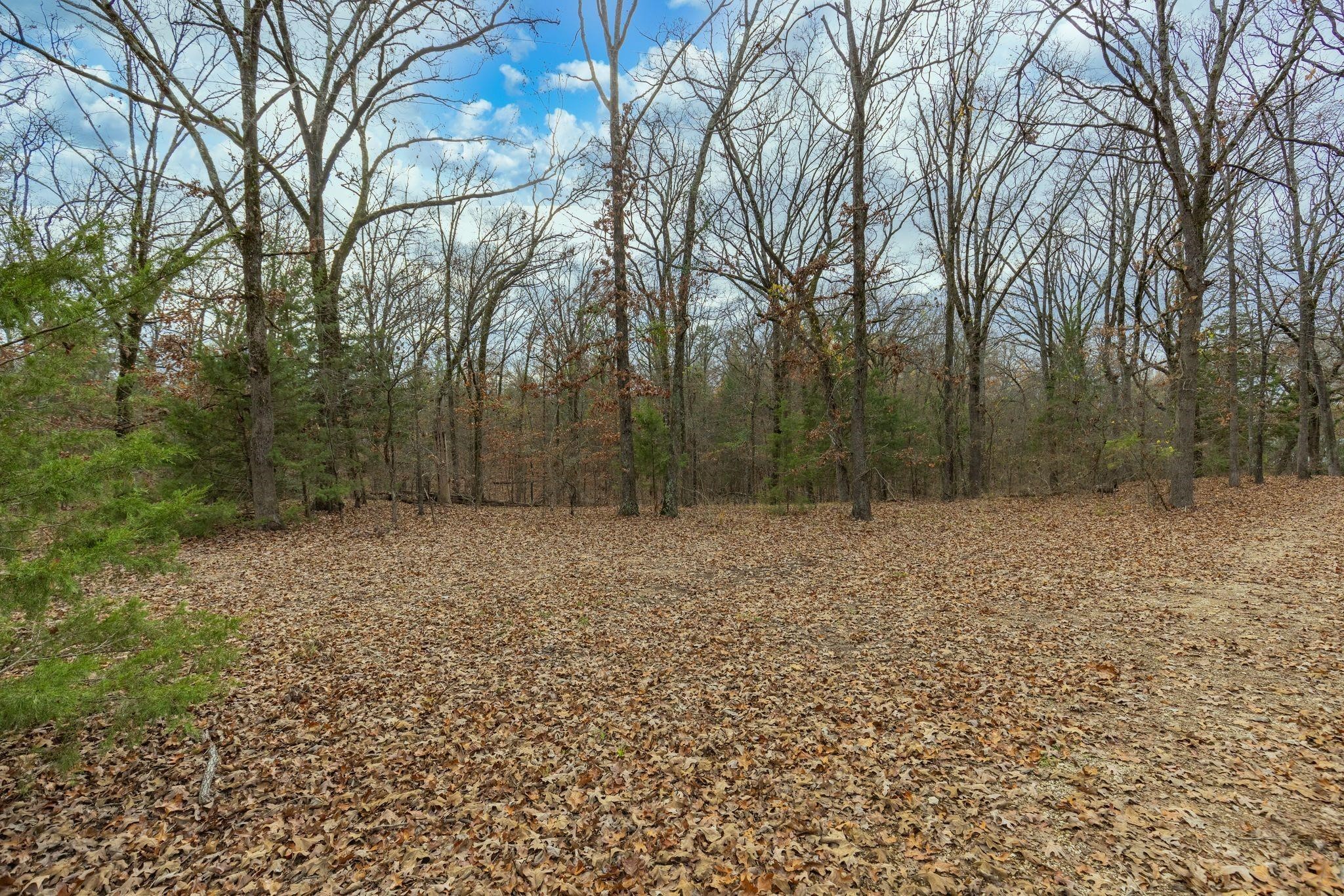 648 County Road 2337, Pittsburg, TX, 75686