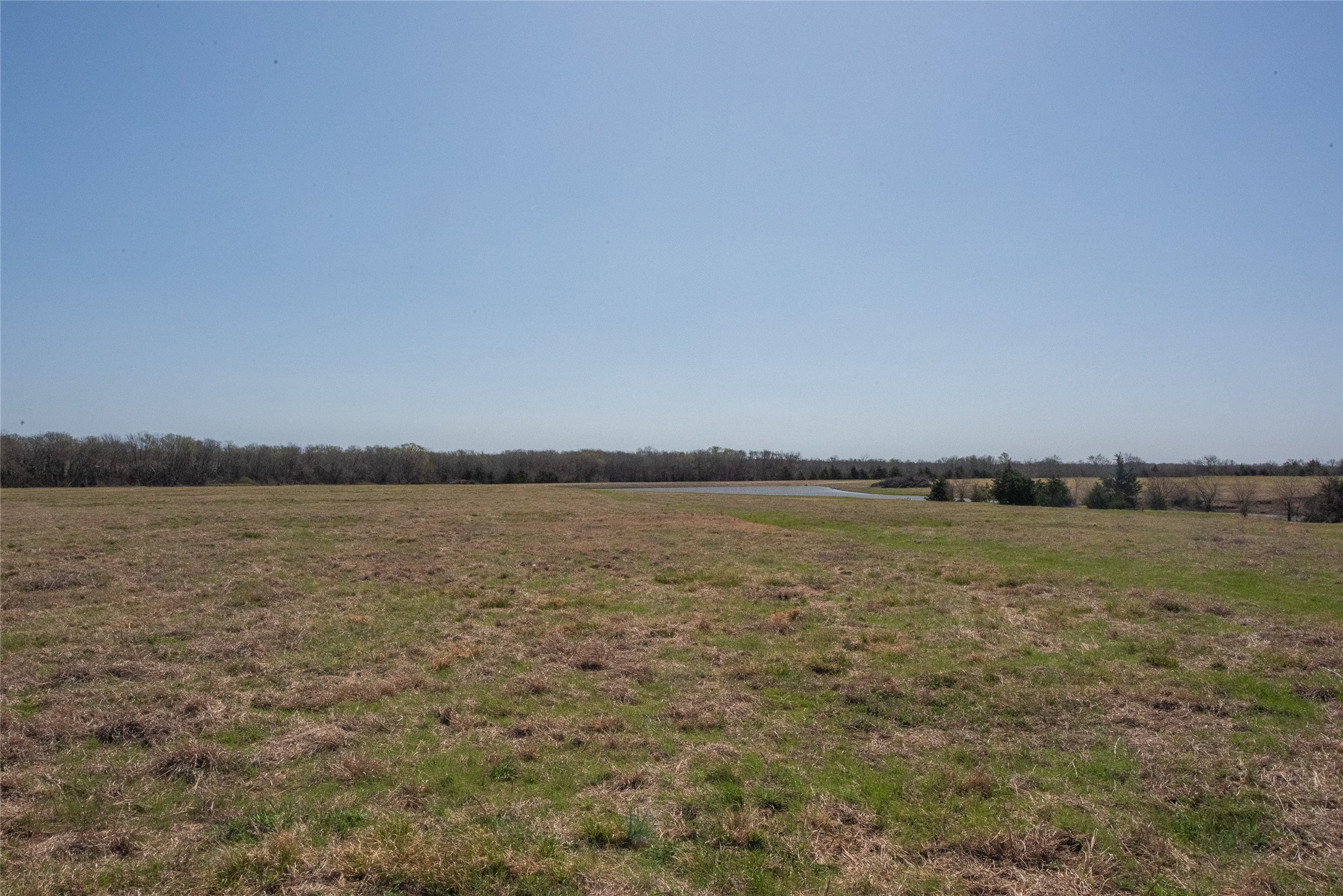 TBD FM 824, Honey Grove, TX, 75446