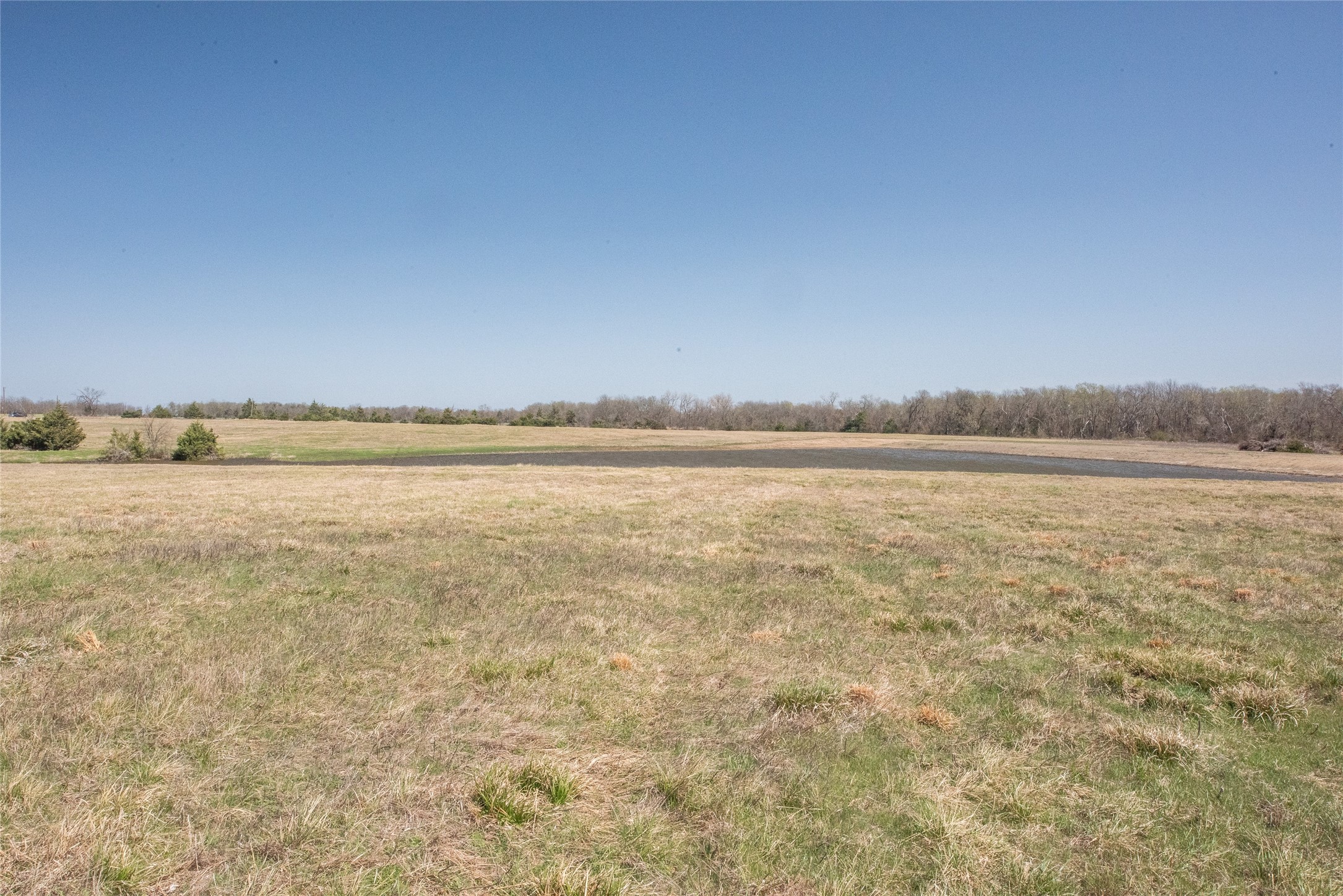 TBD FM 824, Honey Grove, TX, 75446