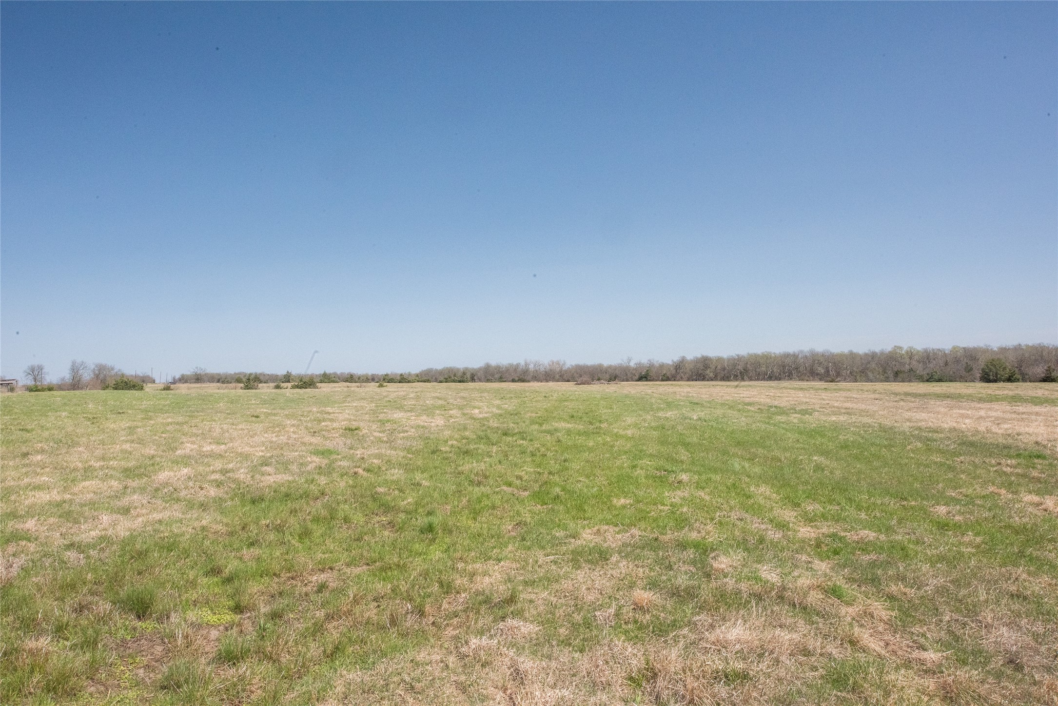 TBD FM 824, Honey Grove, TX, 75446